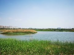 -嘉北郊野公园