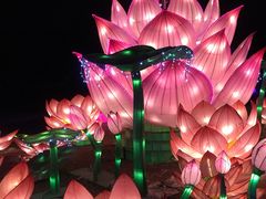 -长春市南湖公园