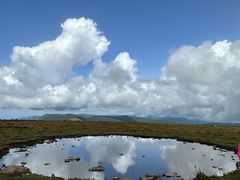 -芦芽山旅游度假区