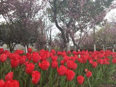 -杭州师范大学(下沙校区)