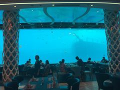 -瑞德姆美人鱼海底演艺主题餐厅(亚龙湾店)