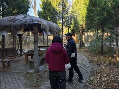 -辛庄国际文化艺术区