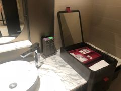 -新加坡瑞士史丹福酒店