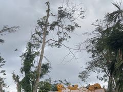 -海南热带野生动植物园