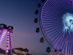 -飞来湖湿地公园