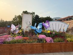 -北京十三陵国家森林公园蟒山景区