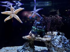 -海合安天津极地海洋公园