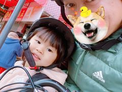 -正宗阳山牛杂(东城店)