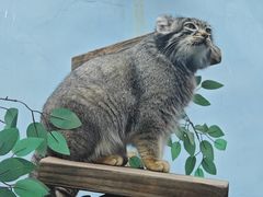 -青藏高原野生动物园