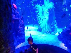 -沈阳海洋探索中心