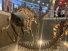 -国家自然博物馆