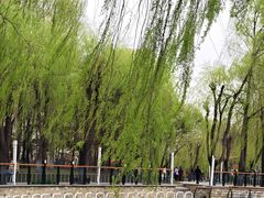 -黛秀湖公园