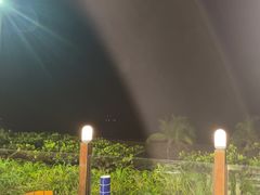 -渔家火锅·海鲜自助餐·演艺(亚龙湾天域酒店)