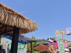 -《神游传奇》秀