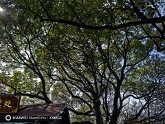 -杭州半山国家森林公园