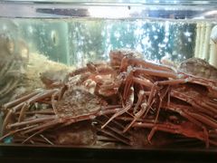 -紫阳海鲜楼·传承闽味(长乐路总店)