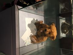 iphone_upload_pic-成都泰迪熊博物馆