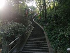 -龙井村