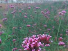 -漩门湾国家湿地公园