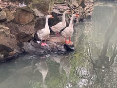 -兰亭风景区