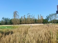 -汉长安城未央宫国家考古遗址公园