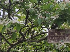 -郑州植物园