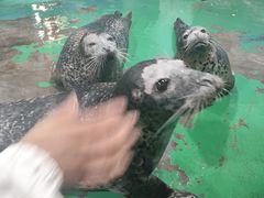 -嘉兴海底世界