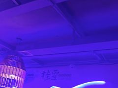 -挂雪铁锅炖大鹅