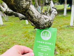 -汉水公园