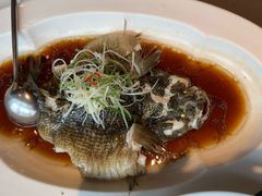 -望乡楼上海菜(日月光店)