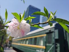 -砂之船奥莱(南京江宁店)