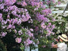 -杭州城北体育公园