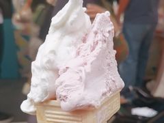 -柠檬车露(卖草地店)