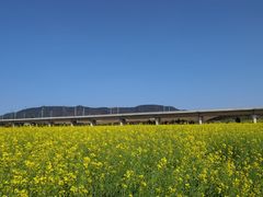 -光明小镇欢乐田园