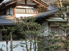 -三千院