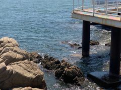 -北戴河碧螺塔海上酒吧公园