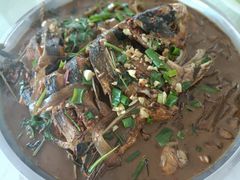 -庆岭迎宾园正宗活鱼馆