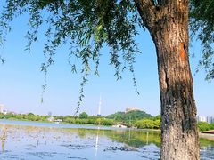 -月湖风景区