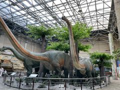 -国家自然博物馆