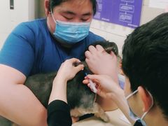 -申普宠物医院·眼科·心内科·影像科(普陀分院)