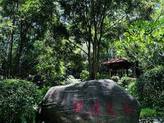 -深圳国际园林花卉博览园