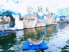 -华夏文旅海洋公园