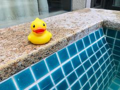 -春晖园度假酒店温泉