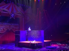 -珠海横琴长隆《卡卡虎奇遇记》