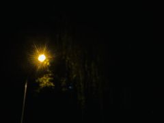 -炉队长·齐齐哈尔家庭烤肉(马家堡店)