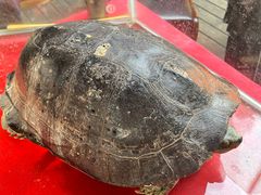 -重庆云阳龙缸景区