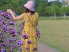 -杭州城北体育公园