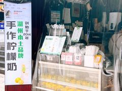 -猫的魔法密林(衣裳街店)