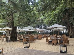 -三亚艾迪逊酒店·海滩烧烤 BARBACOA·现场乐队·浪漫晚餐·烧烤海鲜