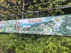 -广东天露山旅游度假区